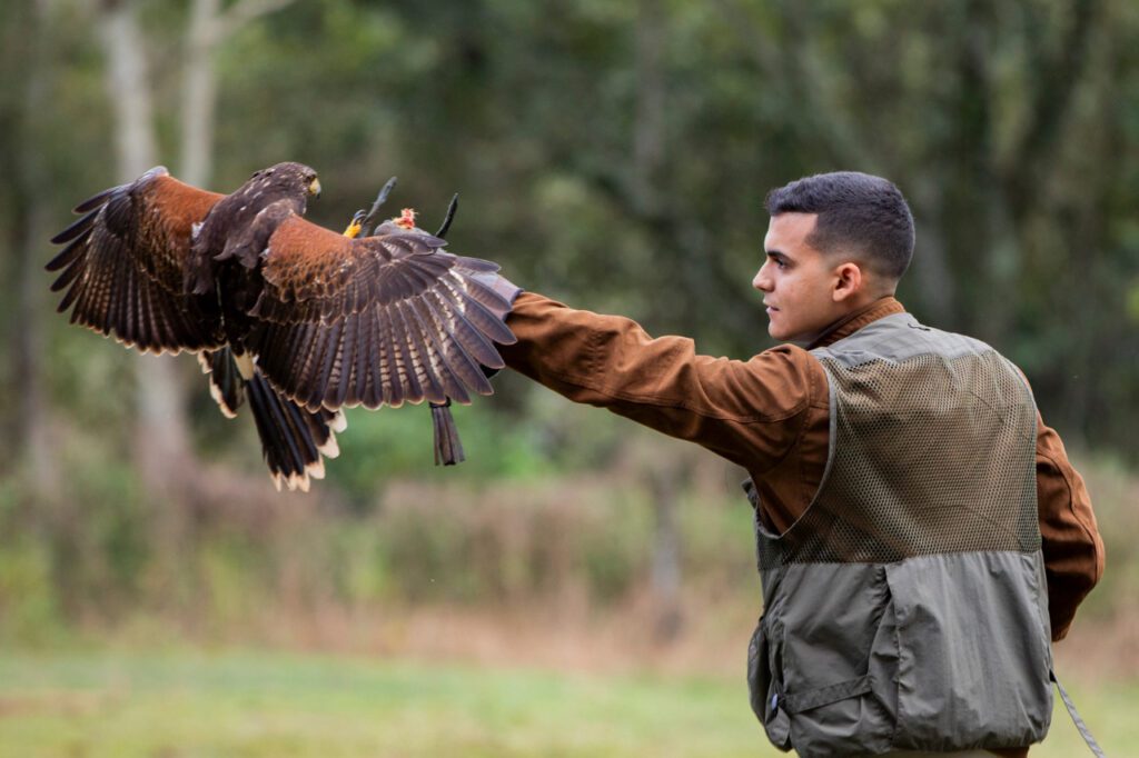 Eco Park Foz: Um Encontro com a Natureza e a Falcoaria